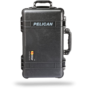 CASES